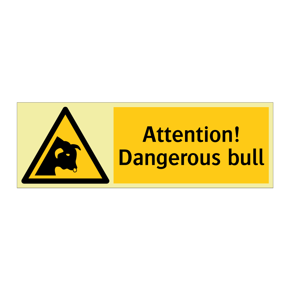 Attention! Dangerous bull