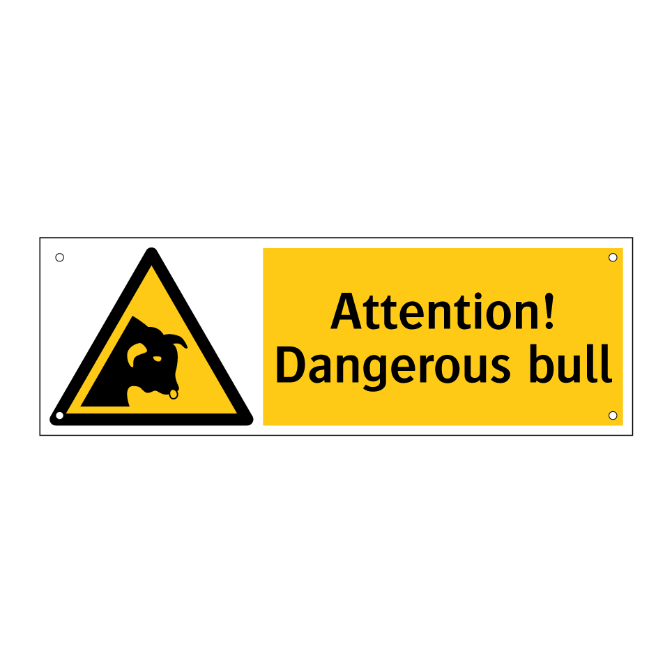 Attention! Dangerous bull