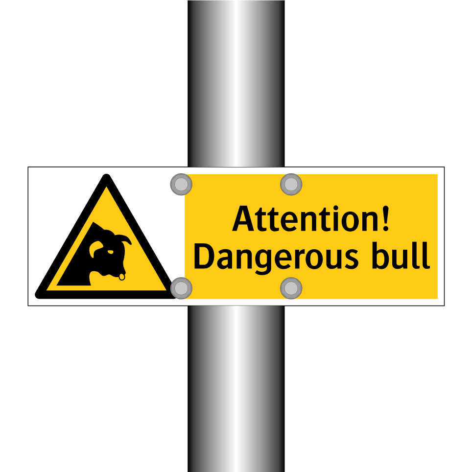Attention! Dangerous bull