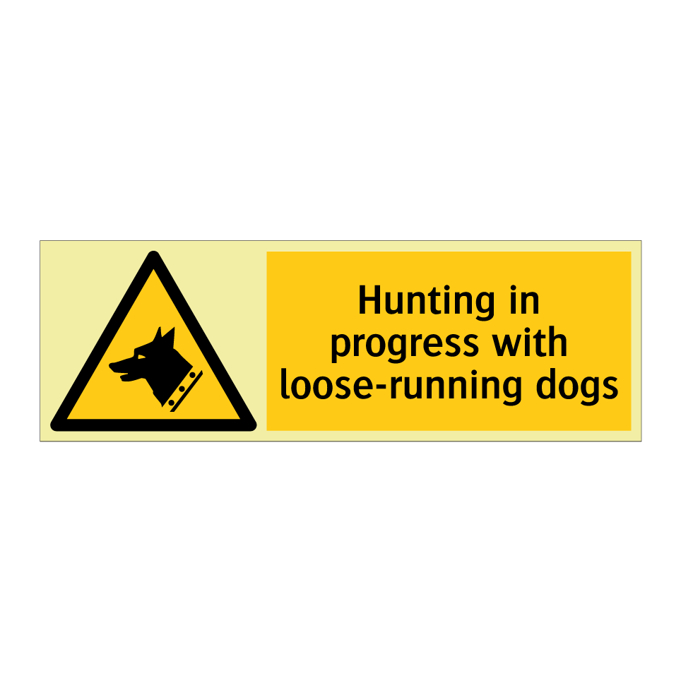 Hunting in progress with loose-running dogs