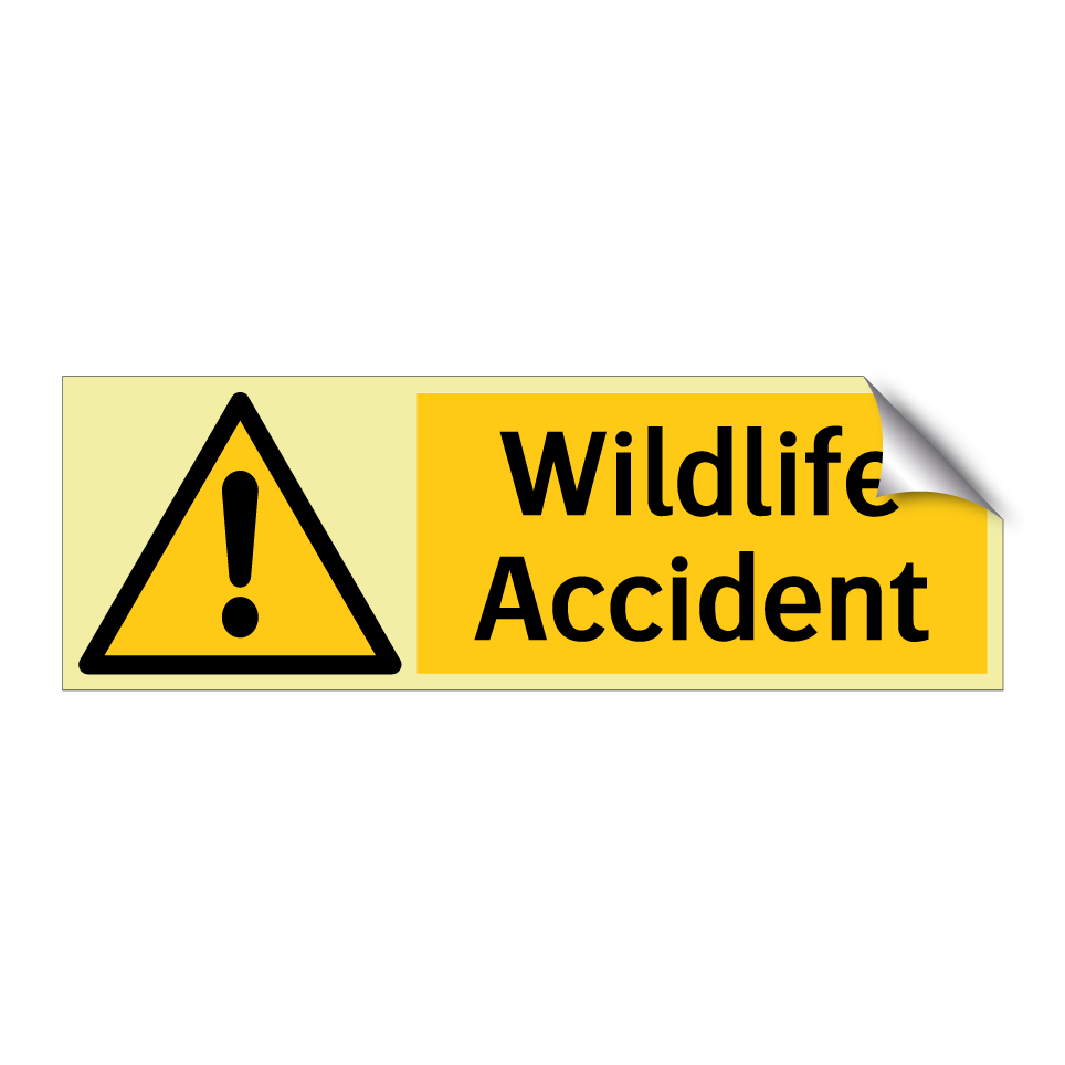 Wildlife Accident