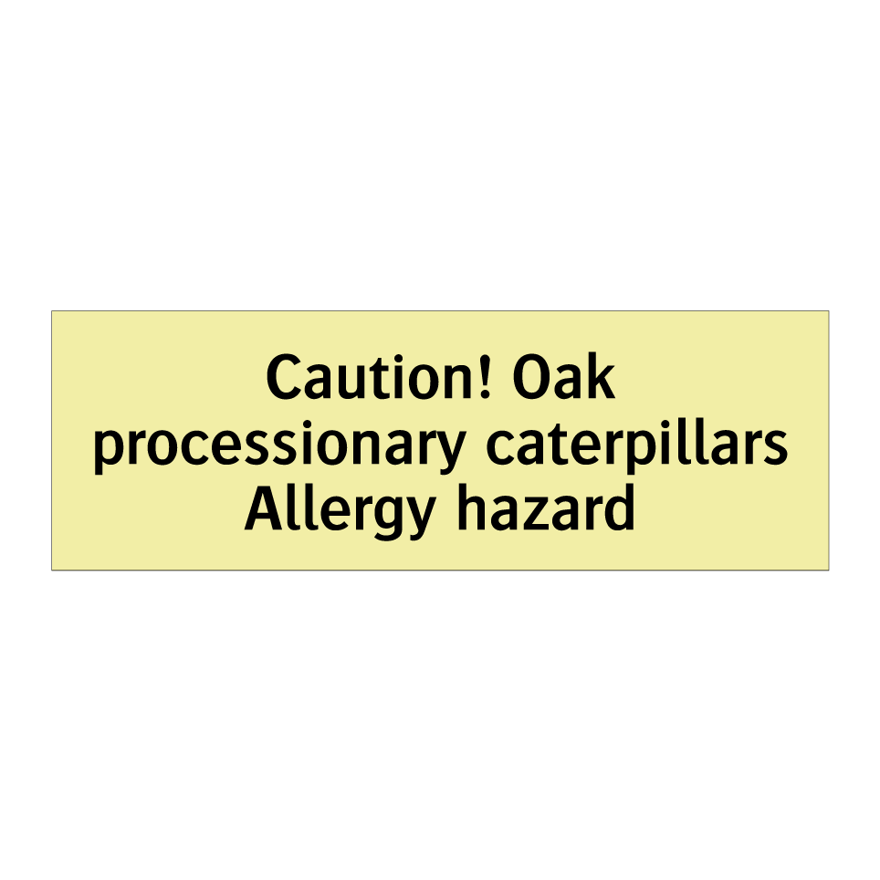 Caution! Oak processionary caterpillars Allergy hazard