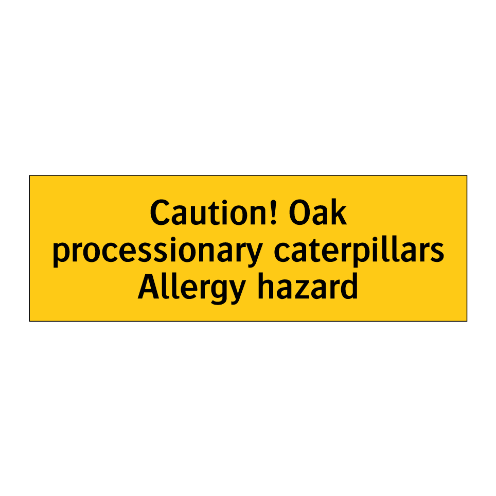 Caution! Oak processionary caterpillars Allergy hazard