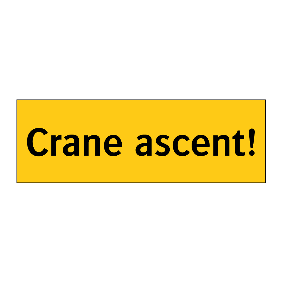 Crane ascent!
