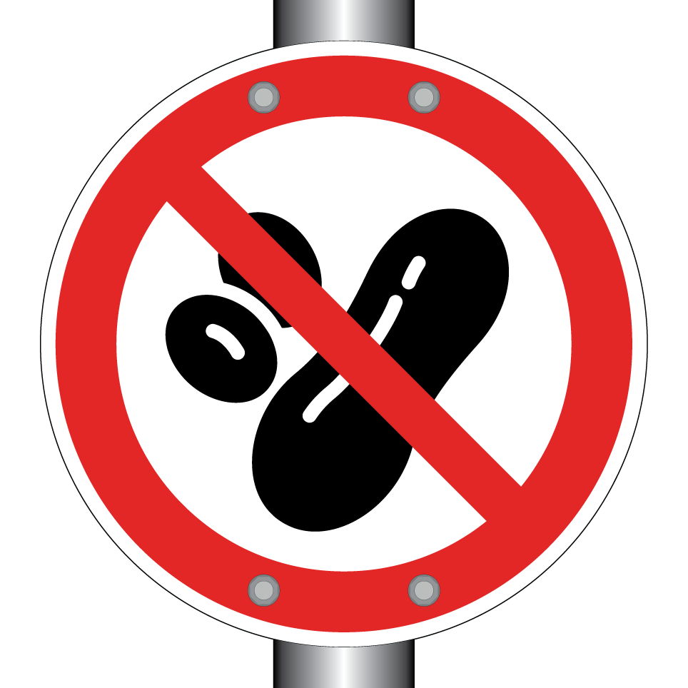 No peanuts (allergy restriction)