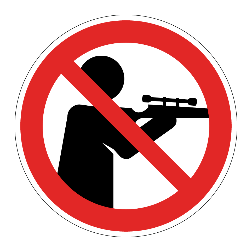 No shooting