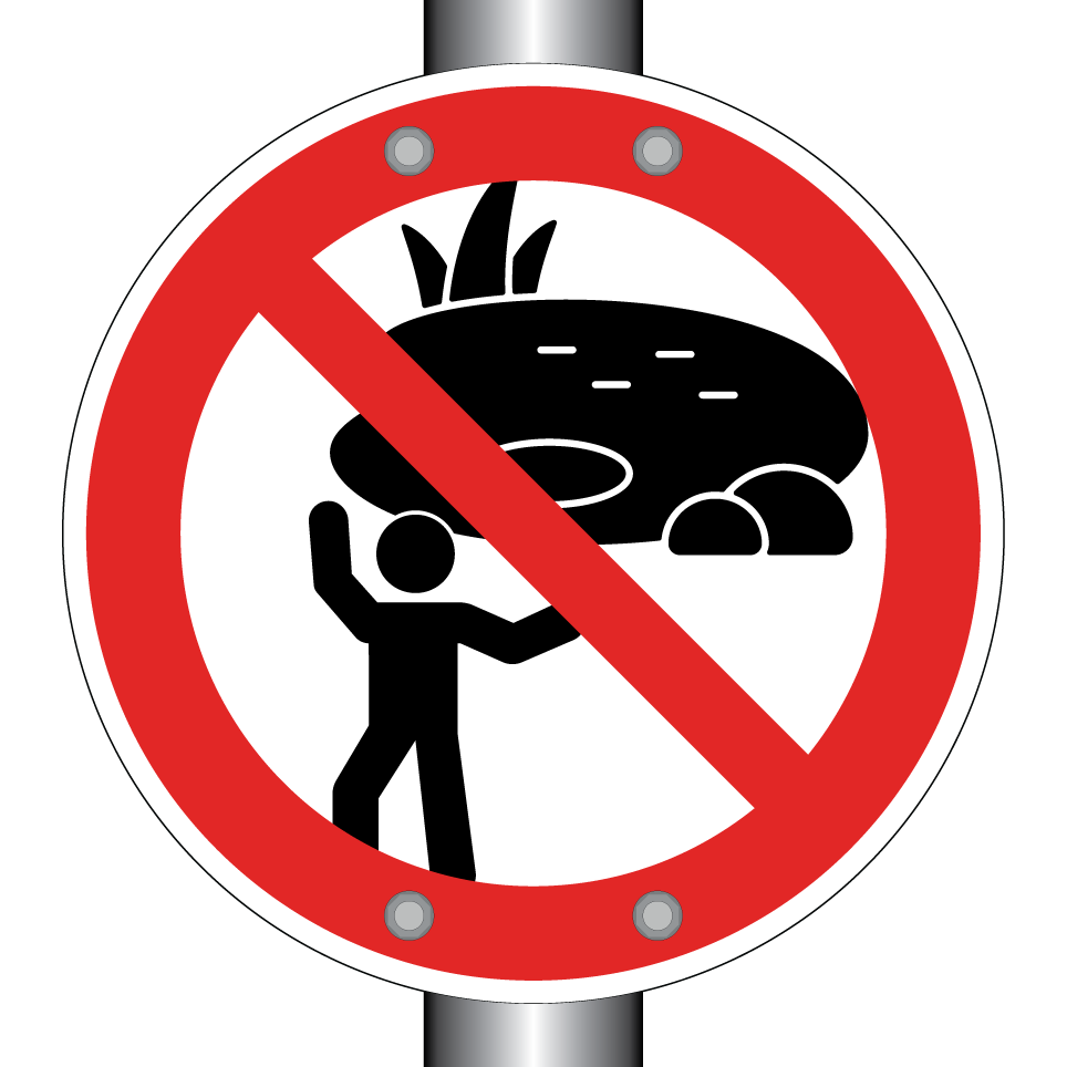 No playing near pond