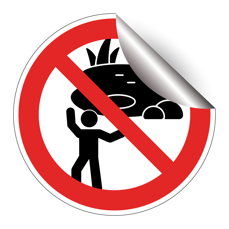 No playing near pond