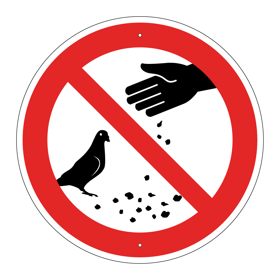No feeding pigeons