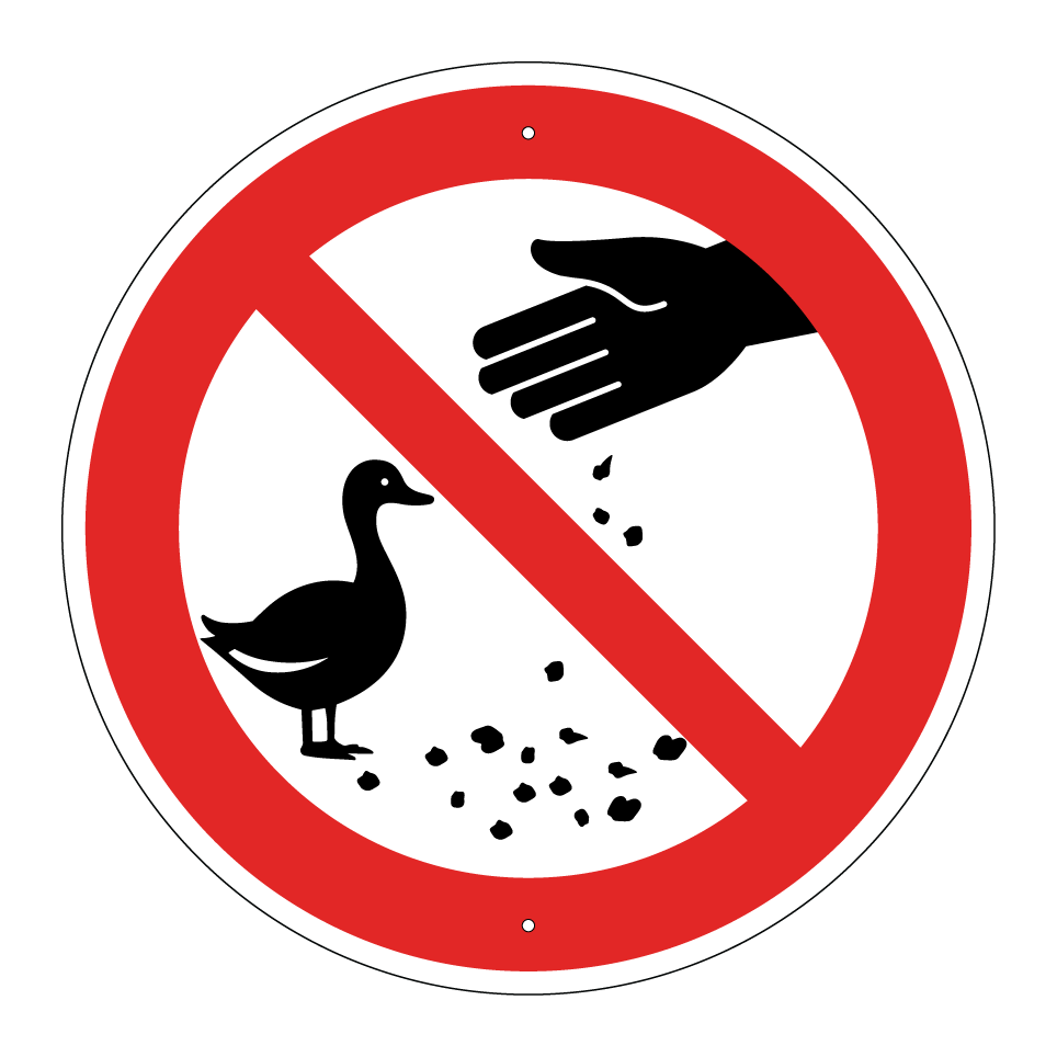 No feeding ducks