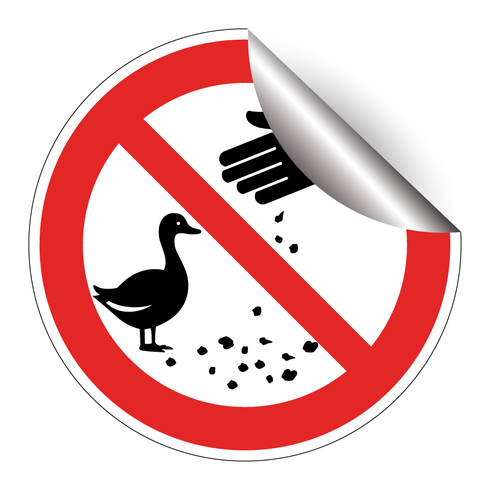 No feeding ducks