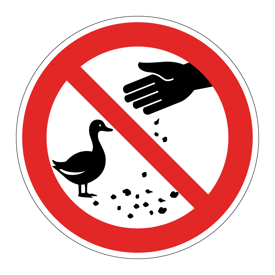 No feeding ducks