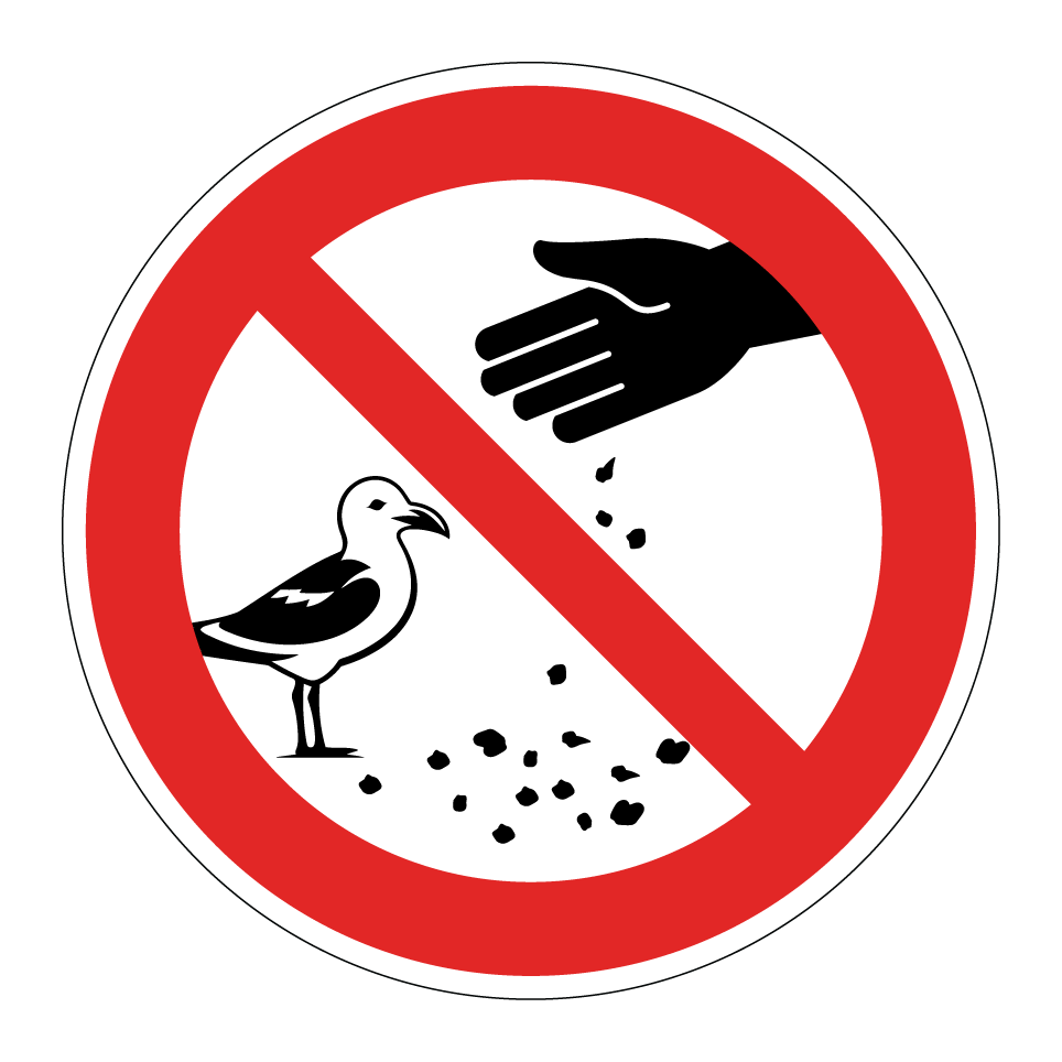No feeding gulls