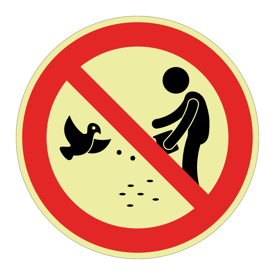 No feeding birds