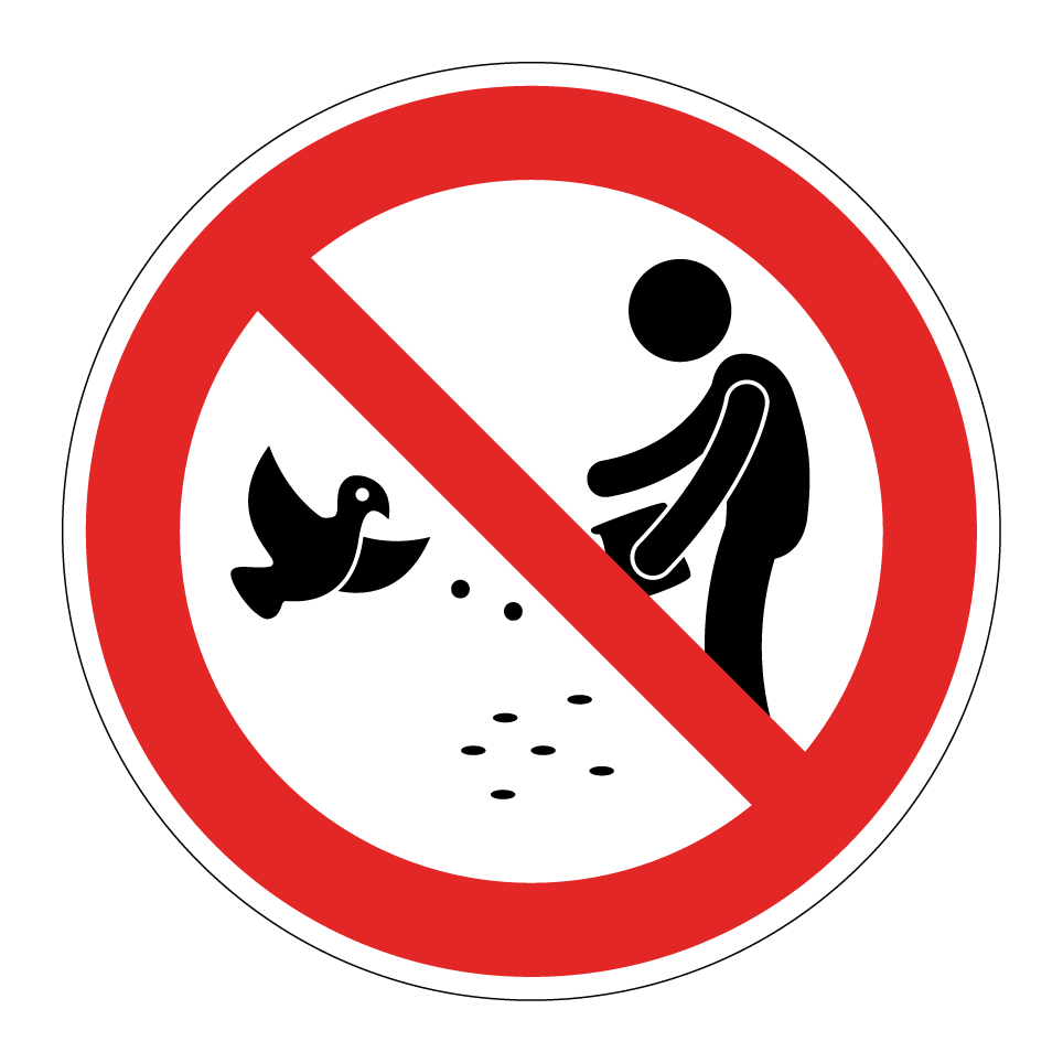No feeding birds