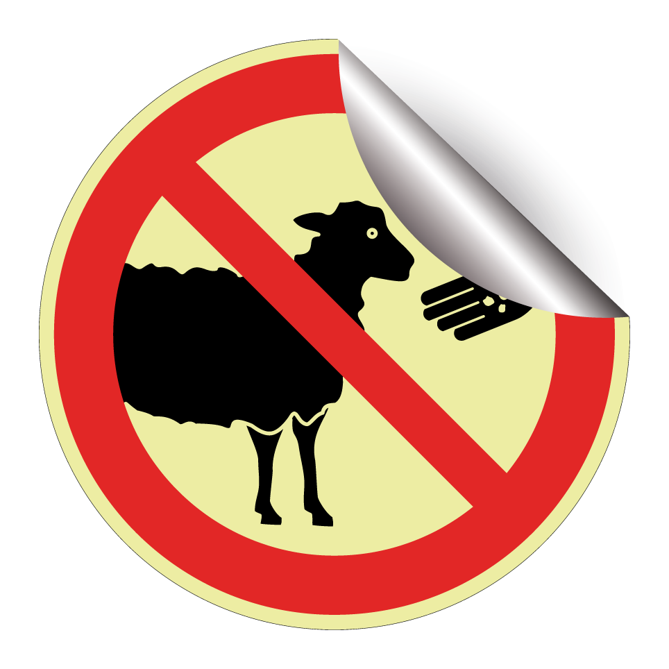 No feeding sheep