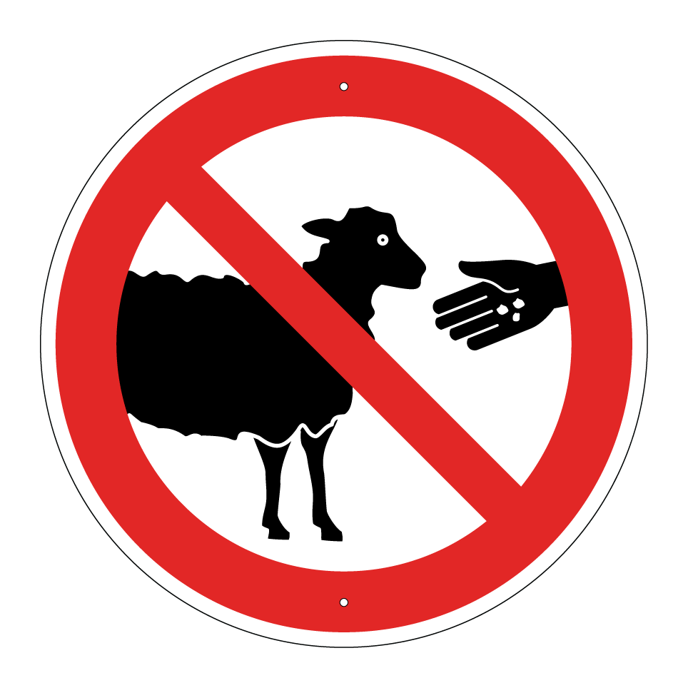 No feeding sheep