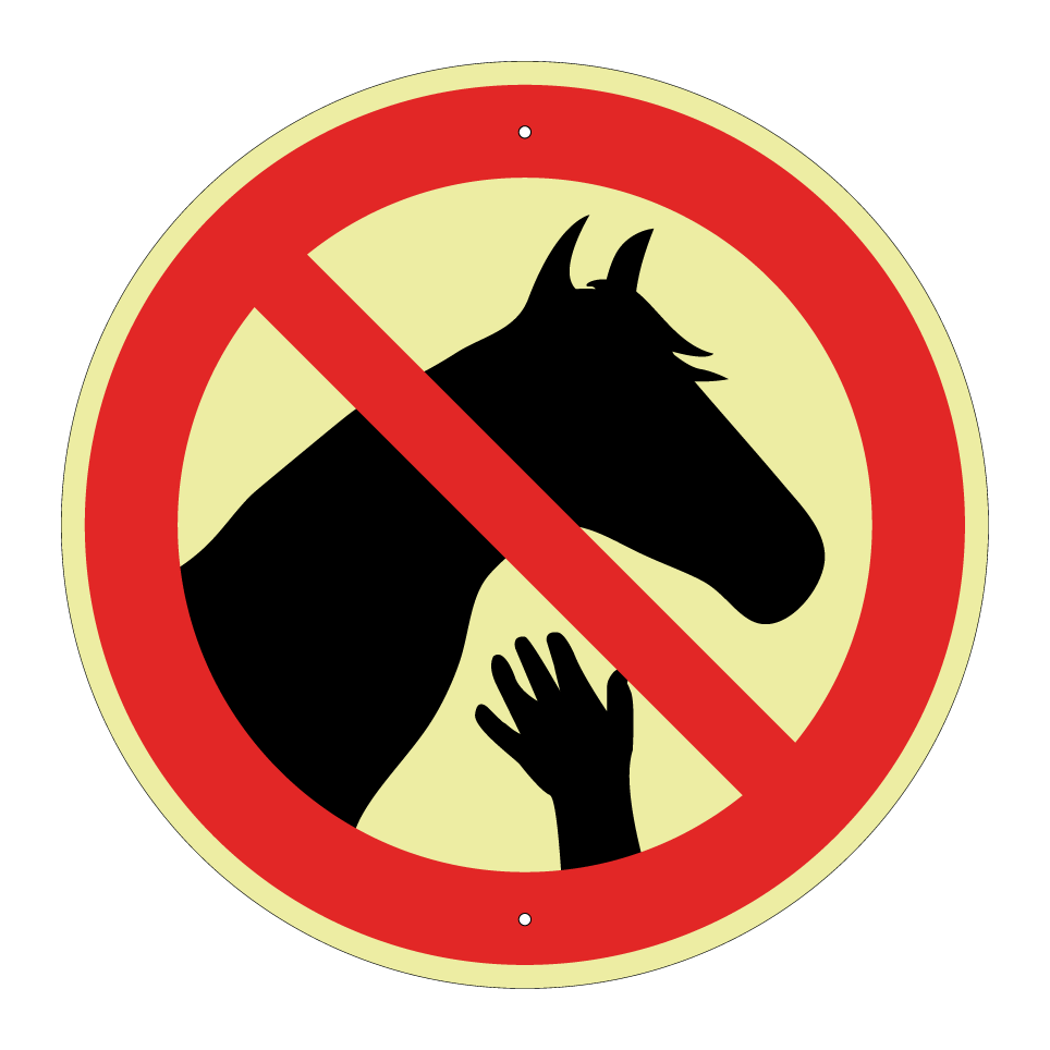 No touching horses