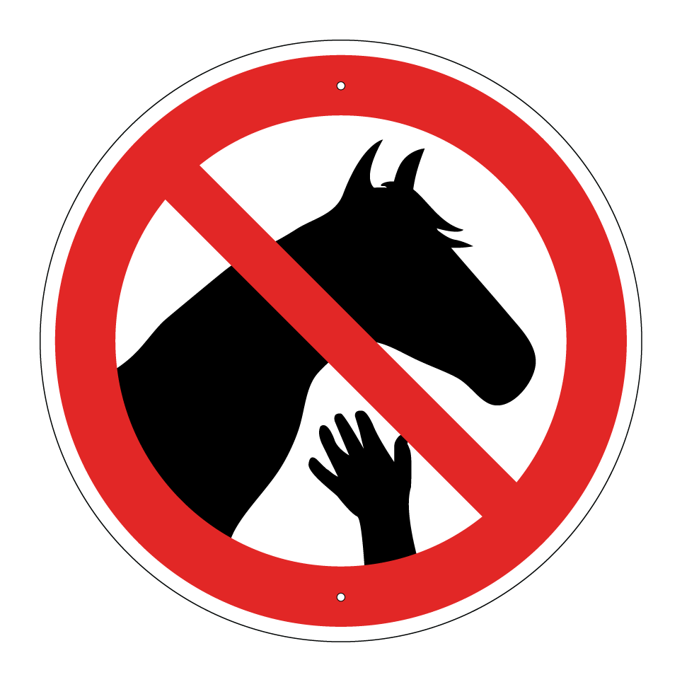 No touching horses
