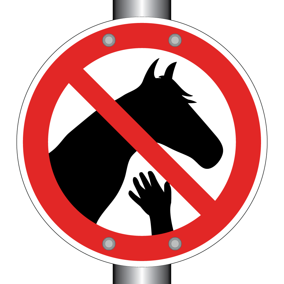 No touching horses