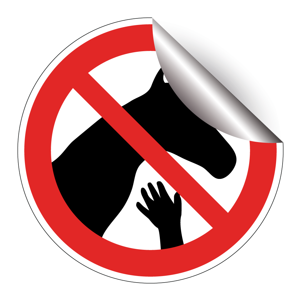 No touching horses