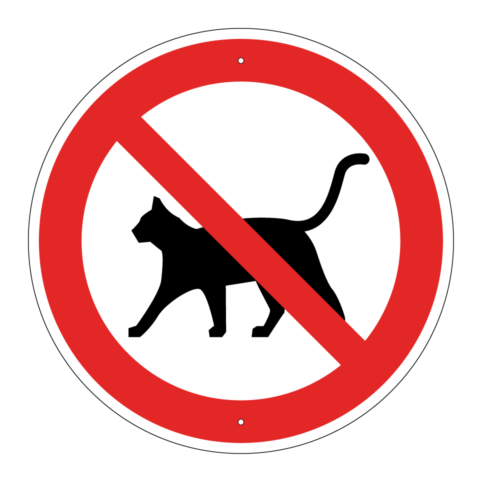 No cats