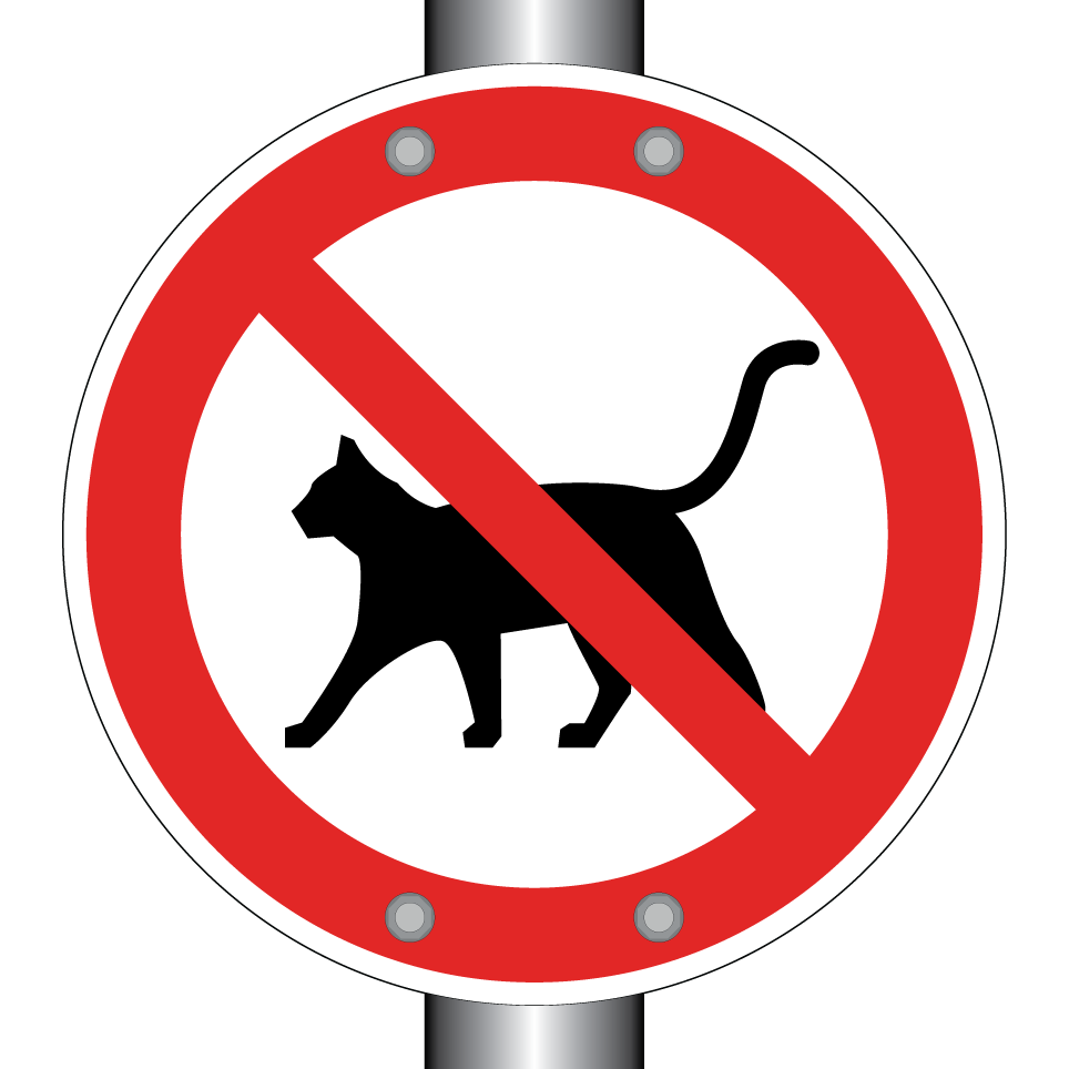 No cats
