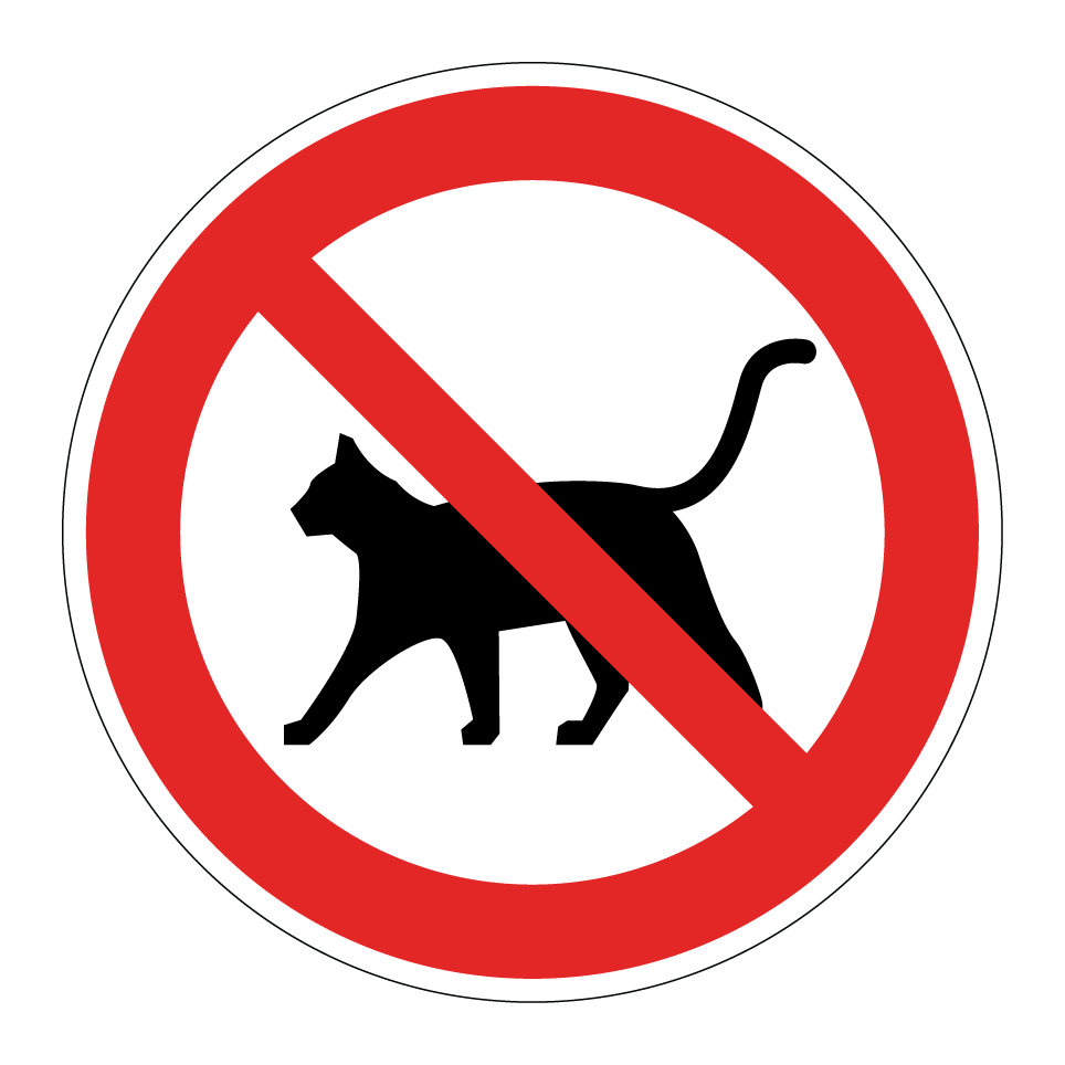 No cats