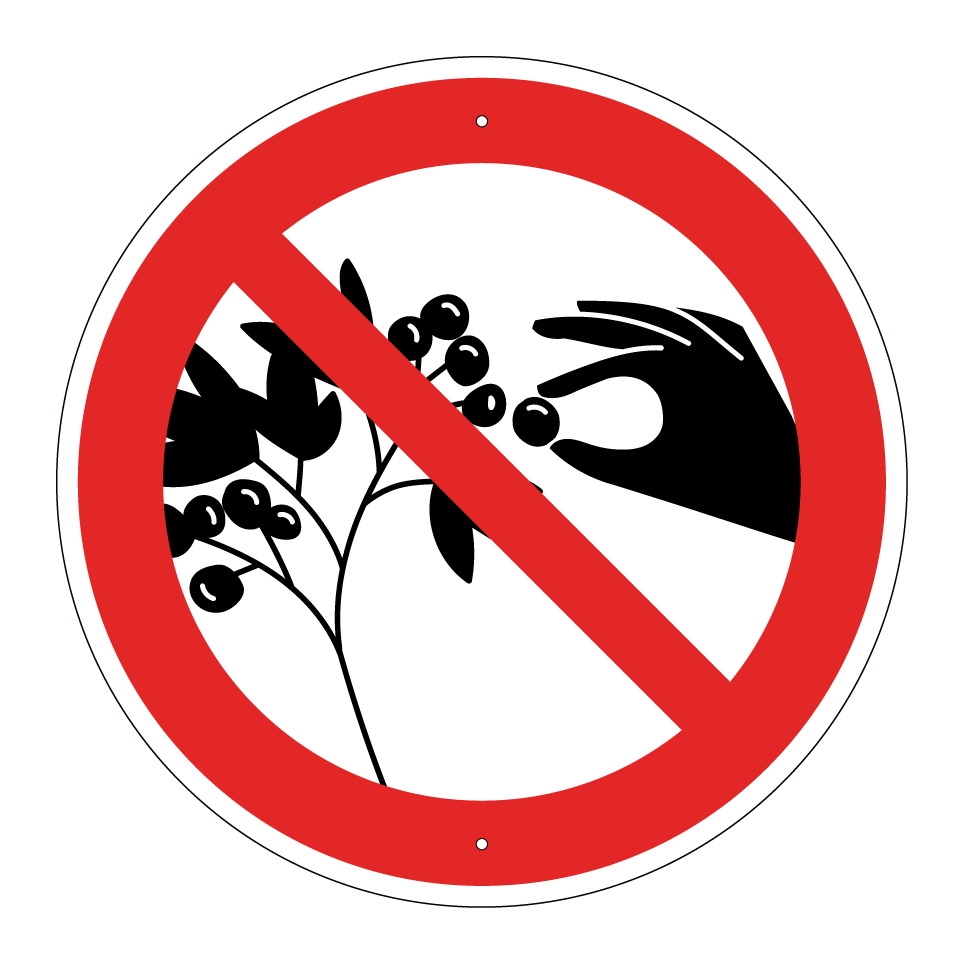 No picking berries