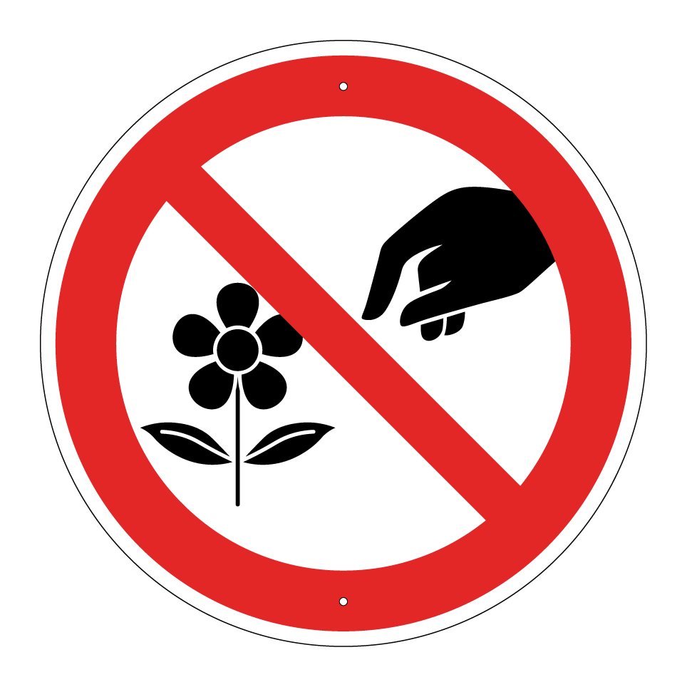 No picking flowers