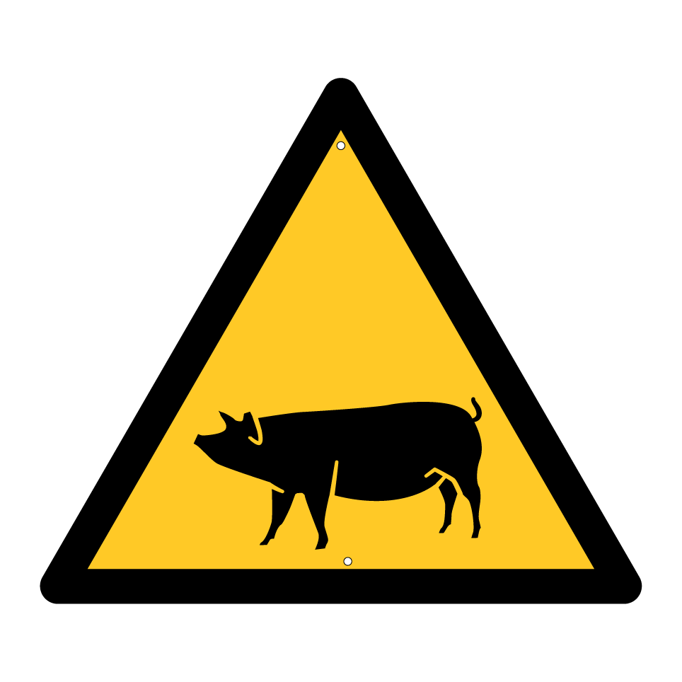 Warning pig