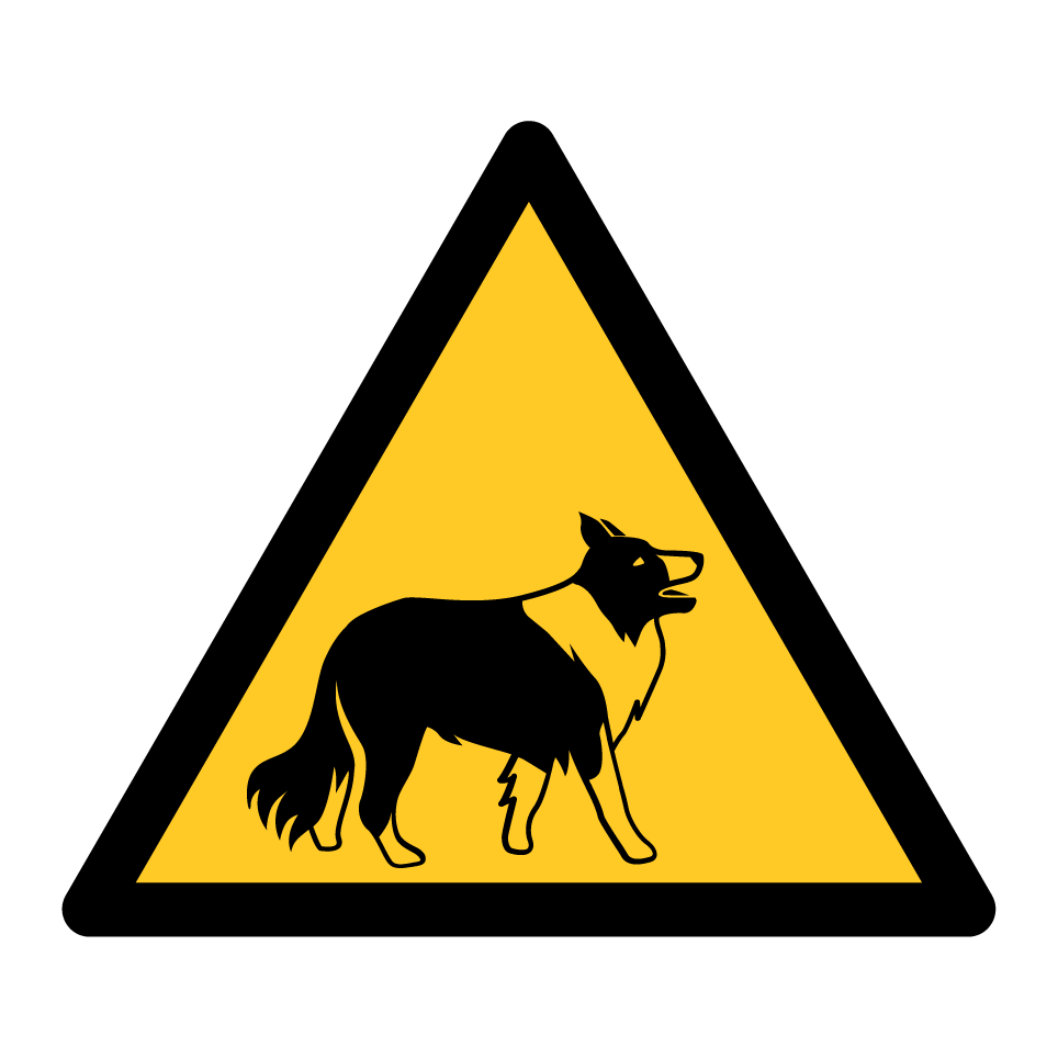 Warning collie
