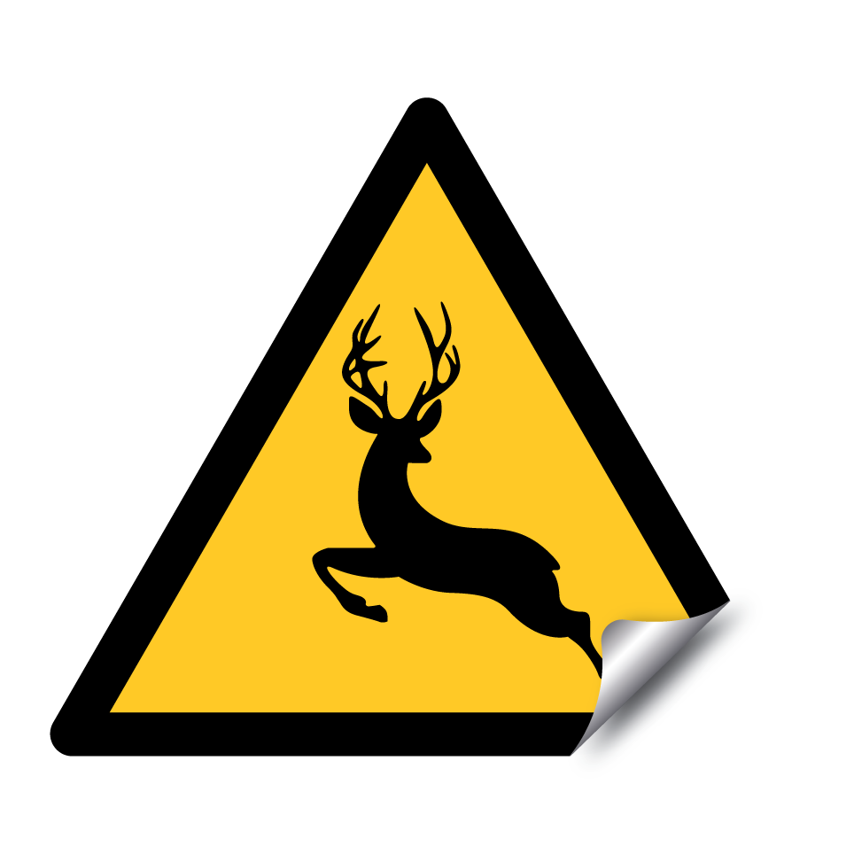 Warning deer