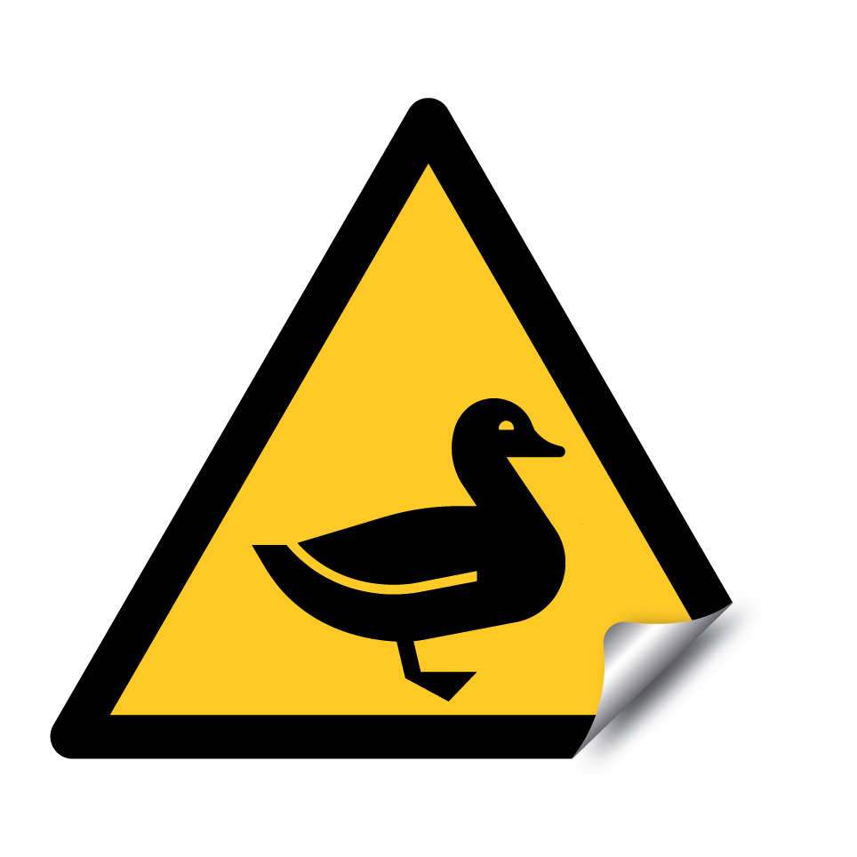 Warning duck