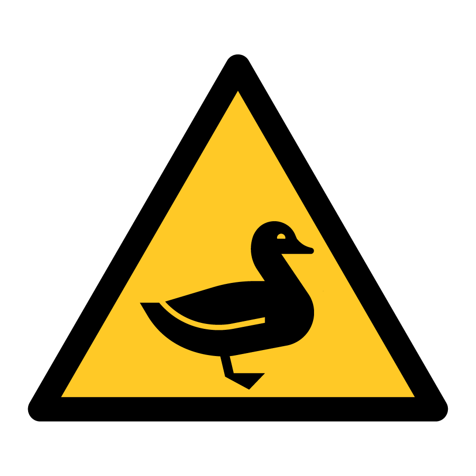 Warning duck