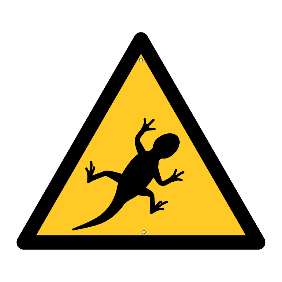 Warning lizard