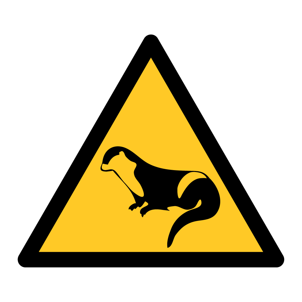 Otter crossing