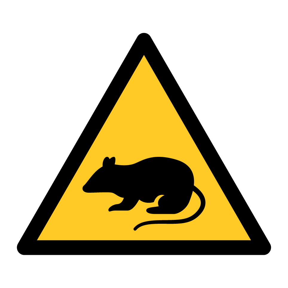 Warning rat